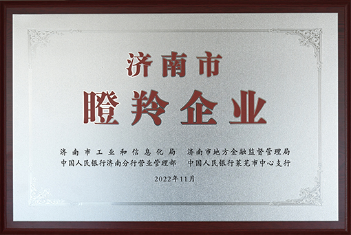 濟(jì)南市瞪羚企業(yè)